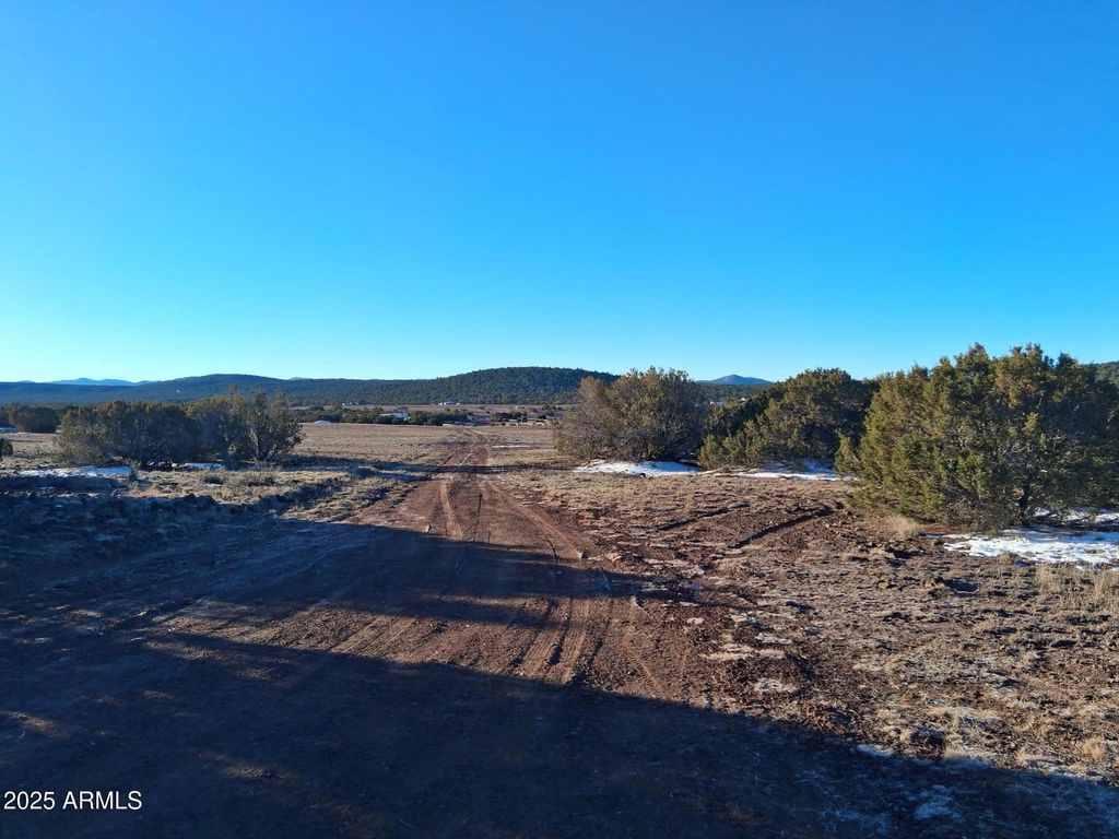 Image 8 of property listing at 86 County Rd 8227 -- -, Concho, AZ 85924