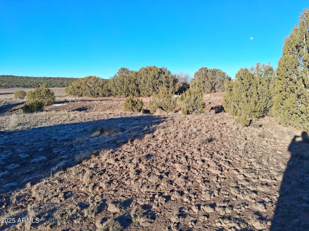 Image 9 of property listing at 86 County Rd 8227 -- -, Concho, AZ 85924