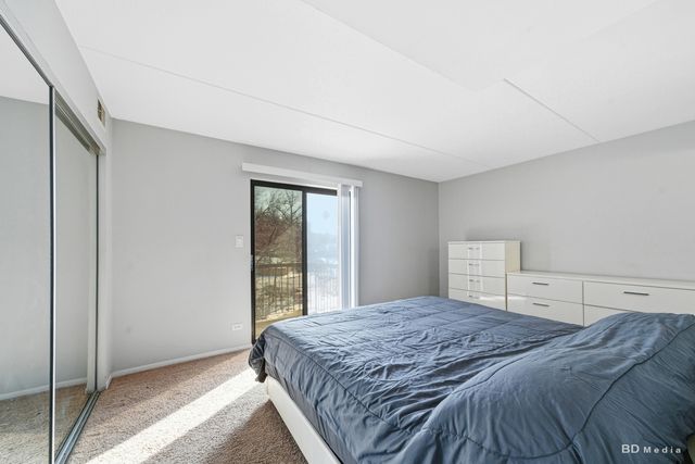 5950 Lake Bluff Drive 202, Tinley Park, IL 60477