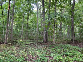 1 Elliot, Put-in-bay, OH 43456