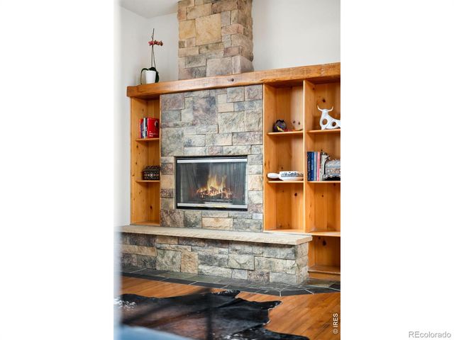 229 Mohawk Trail, Pine, CO 80470