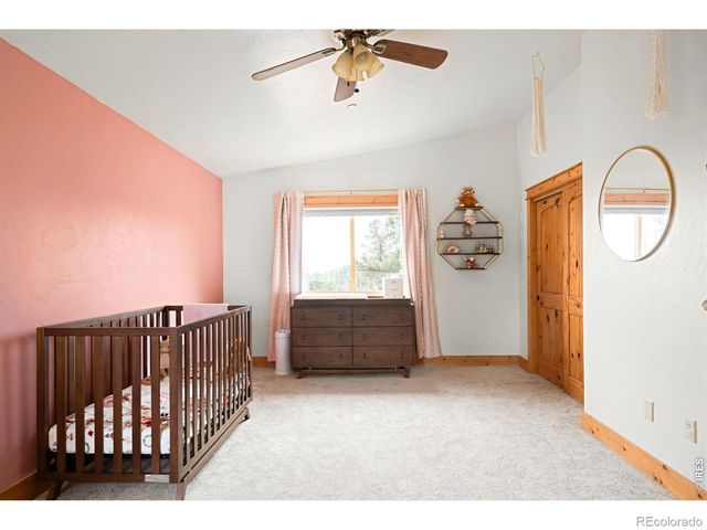 229 Mohawk Trail, Pine, CO 80470