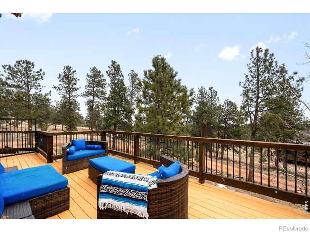 229 Mohawk Trail, Pine, CO 80470