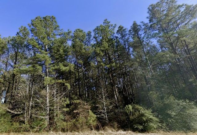 TBD Fond Fields Road, New Waverly, TX 77358