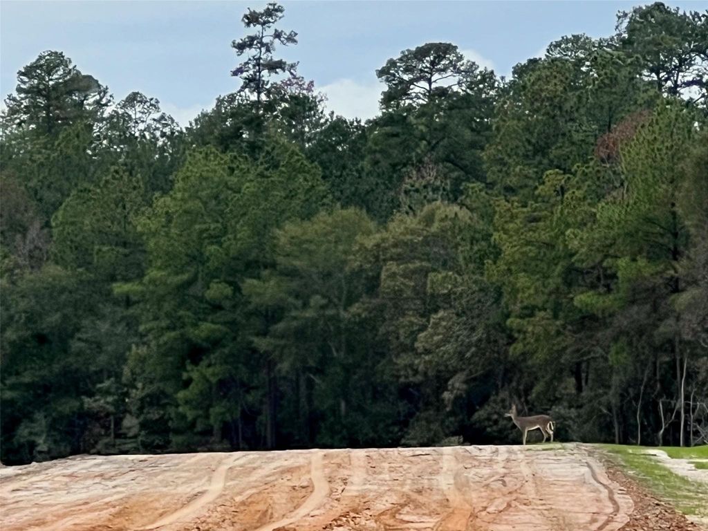 TBD Fond Fields Road, New Waverly, TX 77358