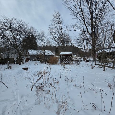 4461 Brady Hill Road, Conklin, NY 13903