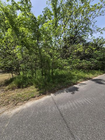 15 Liberty Street, Mayesville, SC 29104