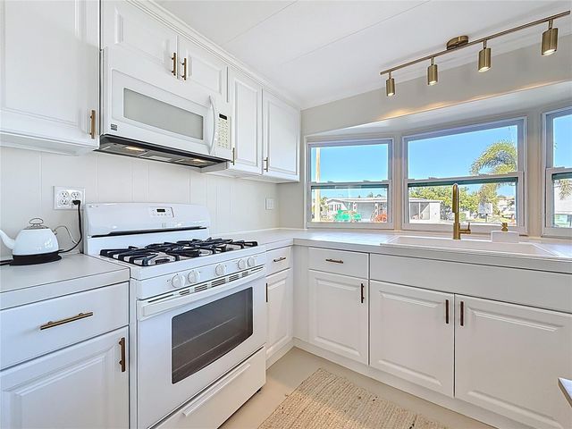 346 MOUNT SAXON AVENUE NE 316, St Petersburg, FL 33702