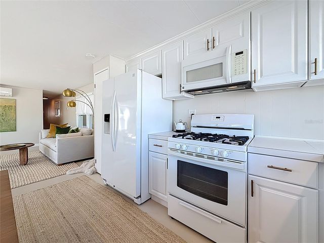 346 MOUNT SAXON AVENUE NE 316, St Petersburg, FL 33702