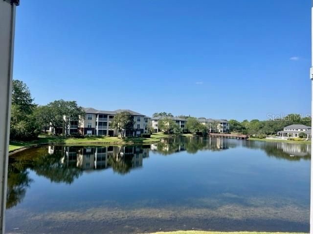 10122 WINSFORD OAK BOULEVARD 411, Tampa, FL 33624