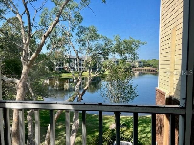 10122 WINSFORD OAK BOULEVARD 411, Tampa, FL 33624