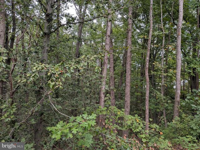 10015 GRASS MARKET CT, Fredericksburg, VA 22408