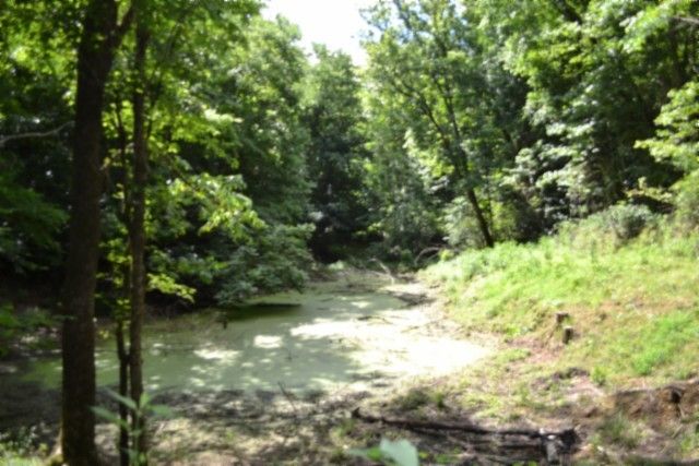425 Baugh Hollow Ln, Gainesboro, TN 38562