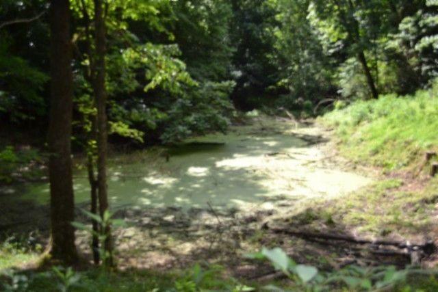 425 Baugh Hollow Ln, Gainesboro, TN 38562