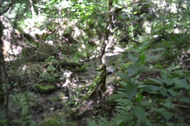 425 Baugh Hollow Ln, Gainesboro, TN 38562