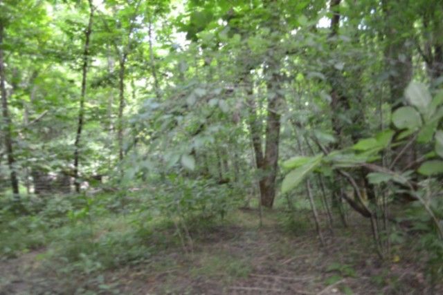 425 Baugh Hollow Ln, Gainesboro, TN 38562