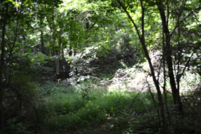 425 Baugh Hollow Ln, Gainesboro, TN 38562