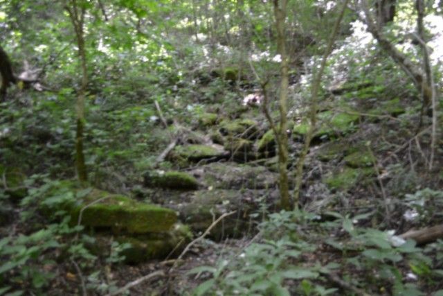 425 Baugh Hollow Ln, Gainesboro, TN 38562