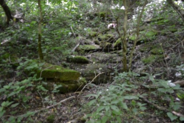 425 Baugh Hollow Ln, Gainesboro, TN 38562