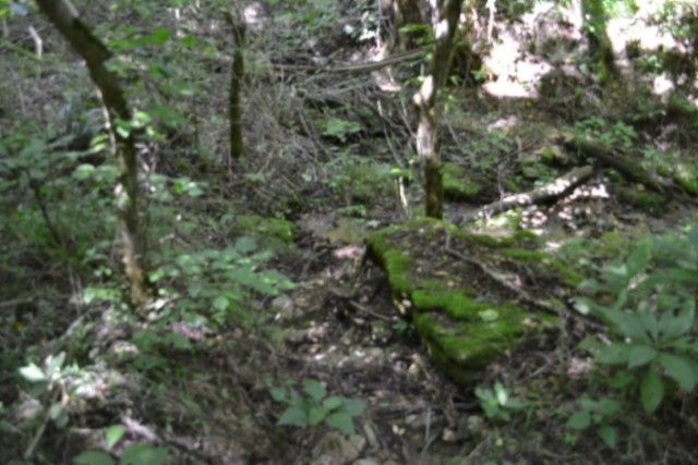 425 Baugh Hollow Ln, Gainesboro, TN 38562
