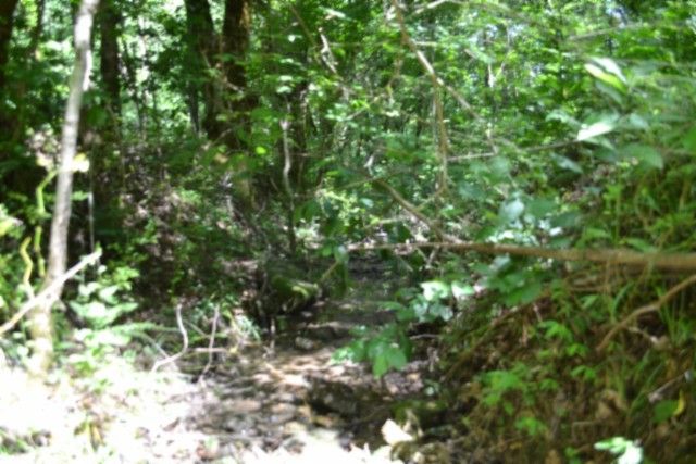 425 Baugh Hollow Ln, Gainesboro, TN 38562
