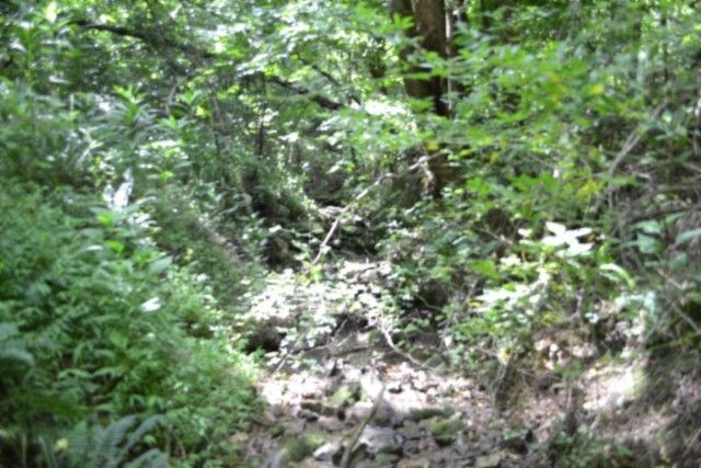 425 Baugh Hollow Ln, Gainesboro, TN 38562