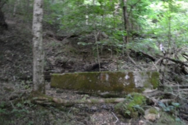 425 Baugh Hollow Ln, Gainesboro, TN 38562