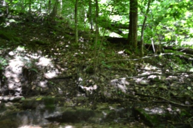 425 Baugh Hollow Ln, Gainesboro, TN 38562