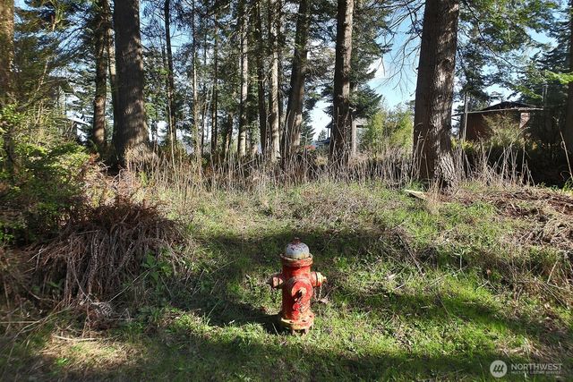 0 Salmonberry Road, Langley, WA 98260