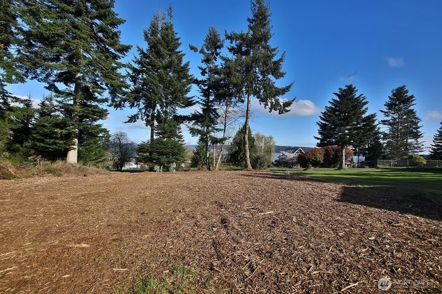 0 Salmonberry Road, Langley, WA 98260