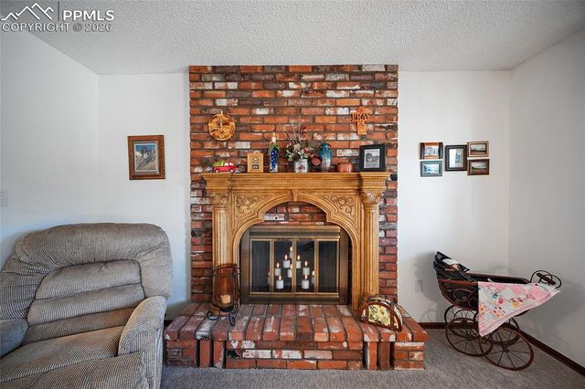 400 Sunnywood Lane, Woodland Park, CO 80863