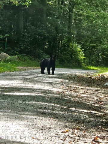 25 Blackberry Lane, Spring City, TN 37381