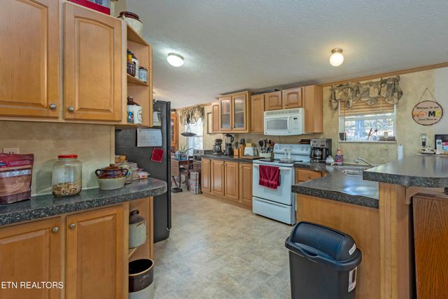 25 Blackberry Lane, Spring City, TN 37381