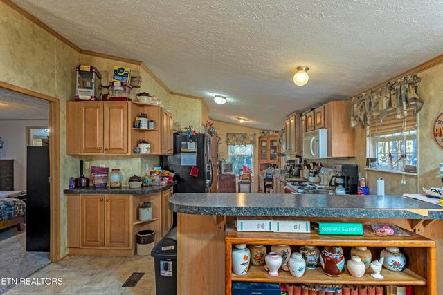 25 Blackberry Lane, Spring City, TN 37381