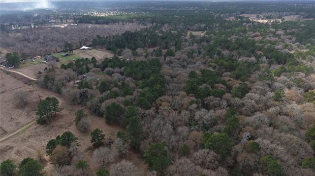 10299 Cox Lane, Plantersville, TX 77363