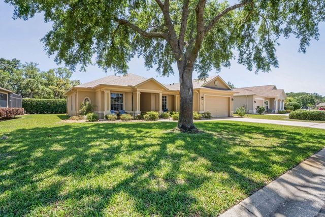 9398 BURNAM DRIVE, Weeki Wachee, FL 34613