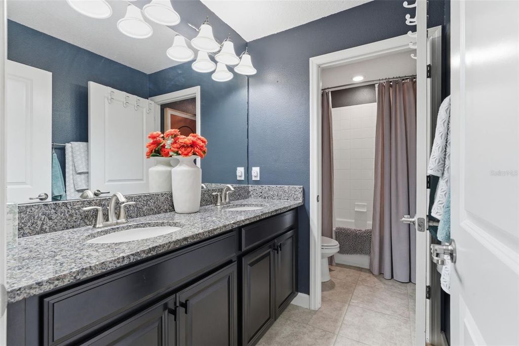 Image 40 of property listing at 10222 COUNT FLEET DRIVE, Ruskin, FL 33573