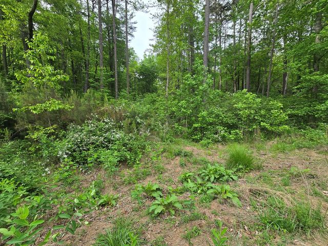 0 Pinnacle Dr, Ellijay, GA 30540