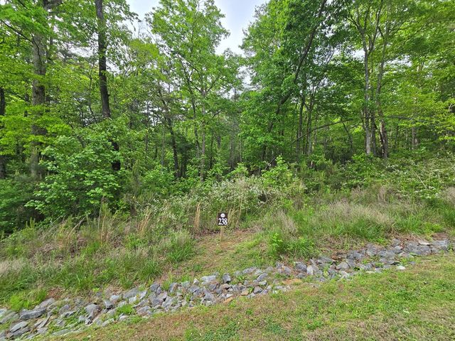 0 Pinnacle Dr, Ellijay, GA 30540