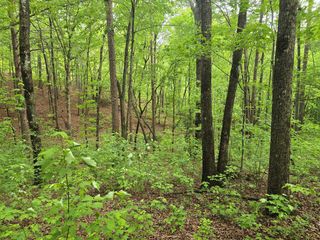 0 Pinnacle Dr, Ellijay, GA 30540