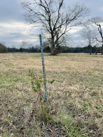 0 Vesta Road, Lebanon, TN 37090