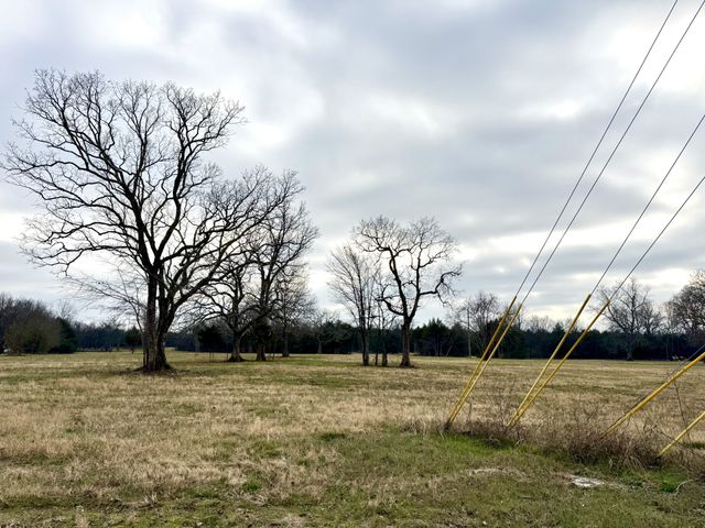 0 Vesta Road, Lebanon, TN 37090