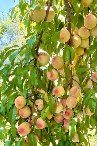 627 Via Ponderosa, Guilderland, NY 12303