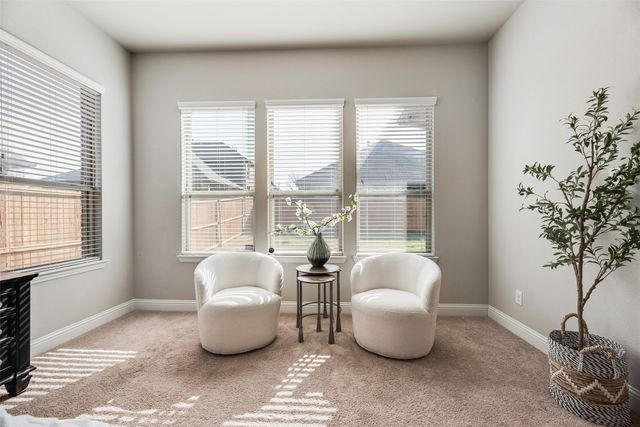 2407 Maston Drive, Anna, TX 75409