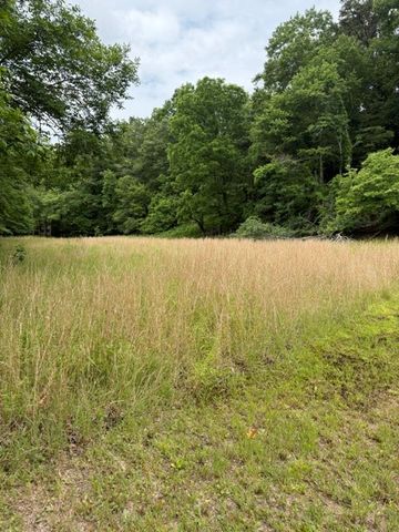 00 Patton Drive, Hayesville, NC 28904