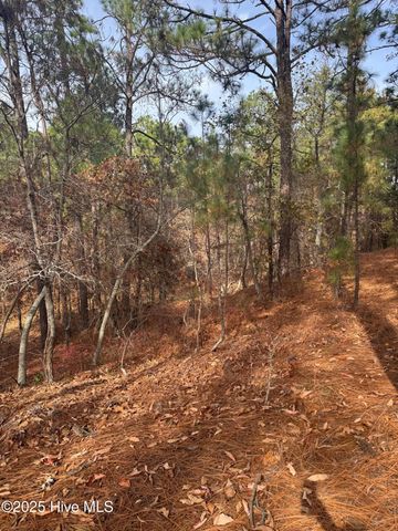 106 Parker Court, West End, NC 27376