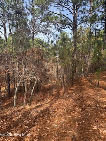 106 Parker Court, West End, NC 27376