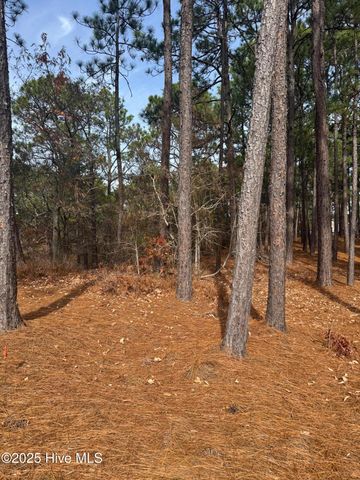 106 Parker Court, West End, NC 27376