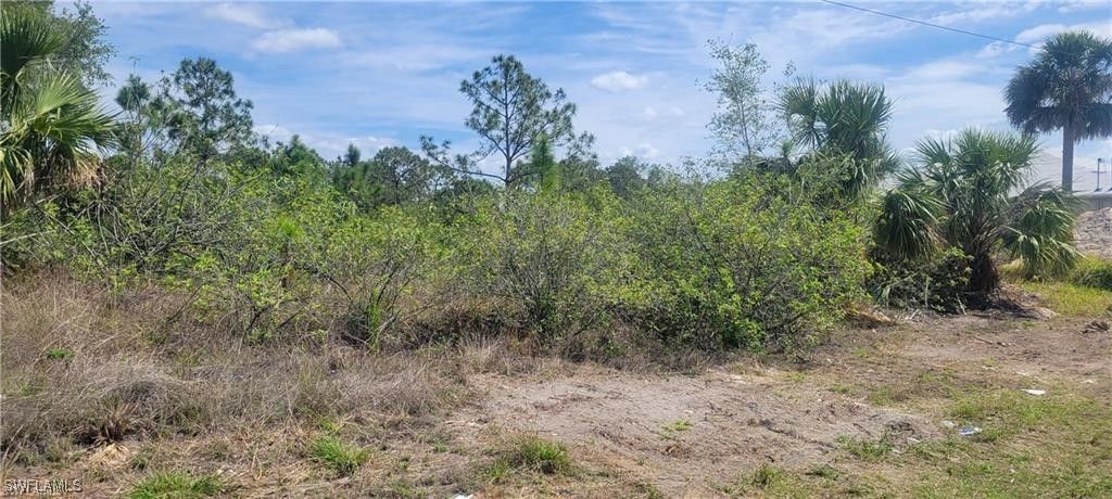 872 Aldrich ST E, Lehigh Acres, FL 33974