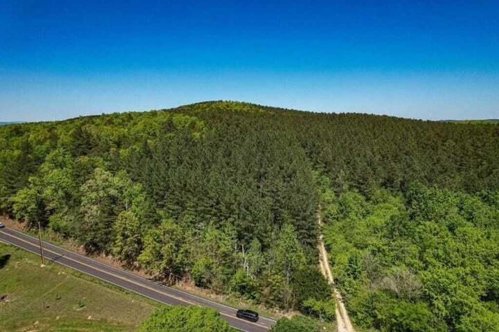 1221 Ryans Road, Decatur, TN 37322